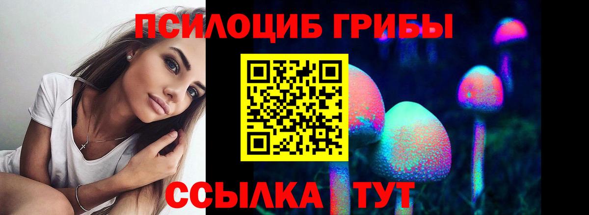 Псилоцибиновые грибы мухоморы  Галлюциногенные грибы мухоморы  наркошоп  Михайловка  Вход с VPN 